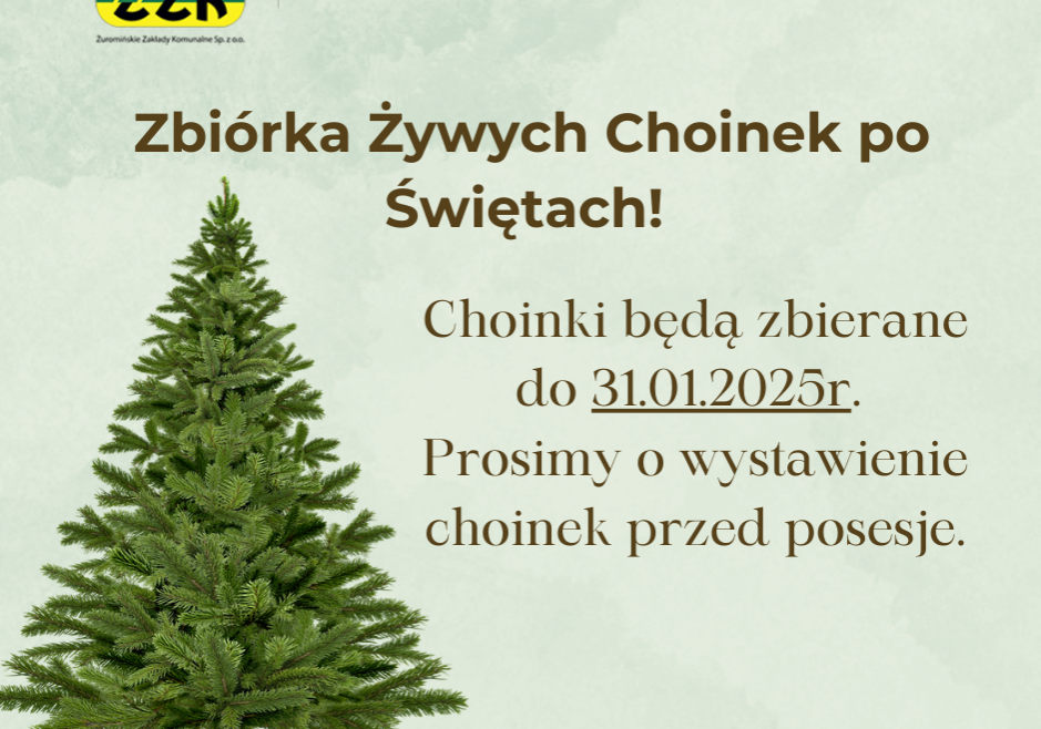 Zbiórka Żywych Choinek po Świętach!